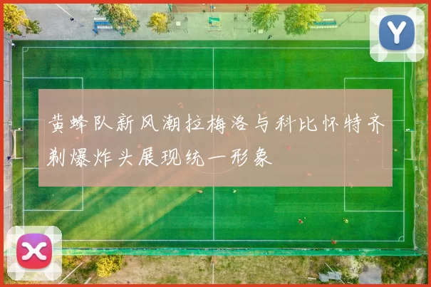 黄蜂队新风潮拉梅洛与科比怀特齐剃爆炸头展现统一形象